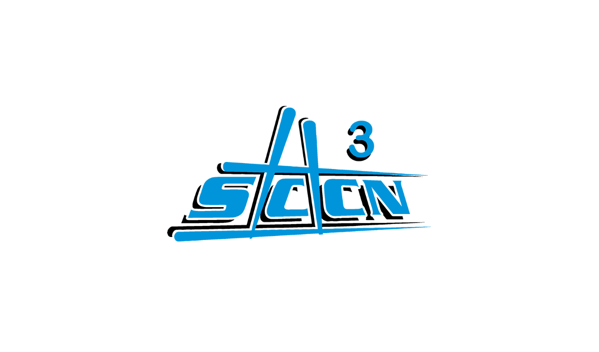 17.3 SCCN 3